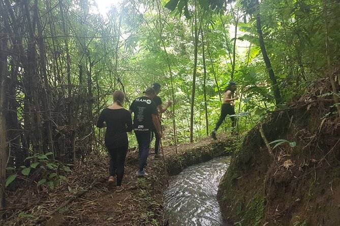1 Day Trekking in Chiang Mai - Why This Chiang Mai Trek Feels Less Tourist, More Local