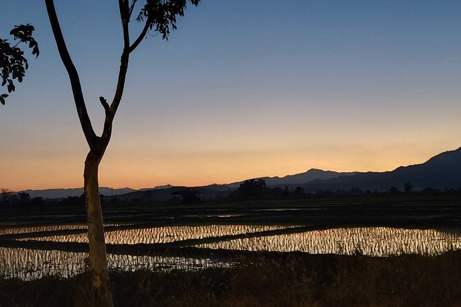 1 Day Trekking in Chiang Mai - Pacing and What a 9–11 Hour Day Really Means