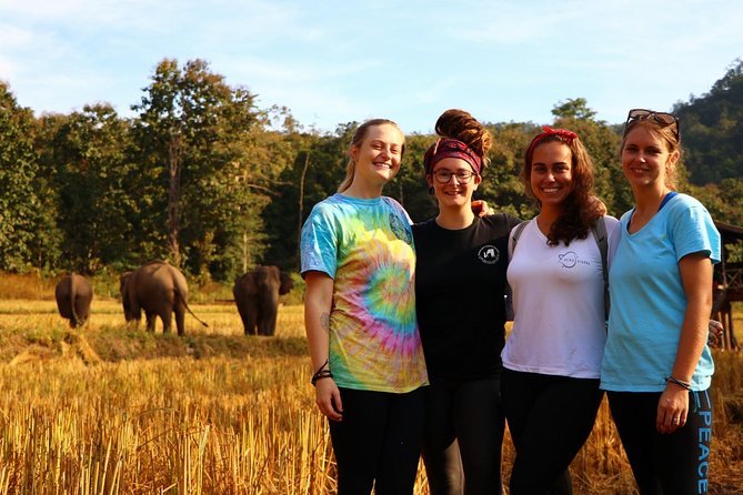 2-Day Kindred Spirit Elephant Sanctuary in Chiang Mai - Transfers, timing, and group size: how the day feels in practice