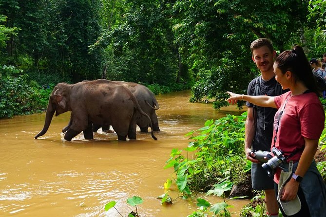 2-Day Kindred Spirit Elephant Sanctuary in Chiang Mai - Elephant sanctuary ethics: what you should ask before you trust the word