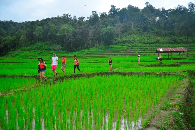 2 Days Hiking Tour in Chiang Mai - Guides Dali and Fern make the trail feel personal