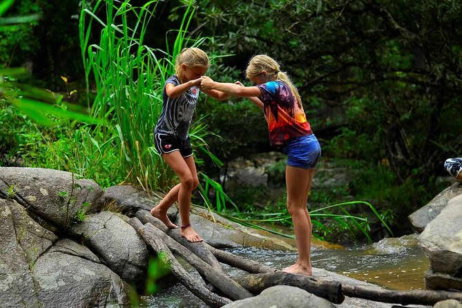 2 Days Hiking Tour in Chiang Mai - Price and value: what $130.21 covers for two days and one night