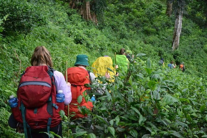 3 Day Motorcycle Tour (Mae Hong Son Loop) from Chiang Mai, Thailand - Price and value: what you actually get for $1,125