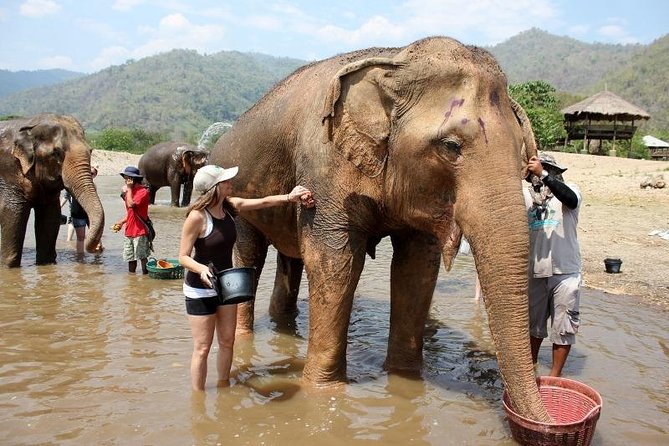 3D2NTrek Adventure at Chiang Mai Mea Wang Including Overnight at Karen Hilltribe - Karen Village Overnight: Cultural Contact With a Comfort Reality Check