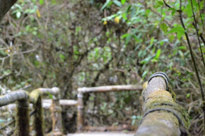4 days Package Northern Charms. - Weather, Pace, and What to Pack for Northern Thailand