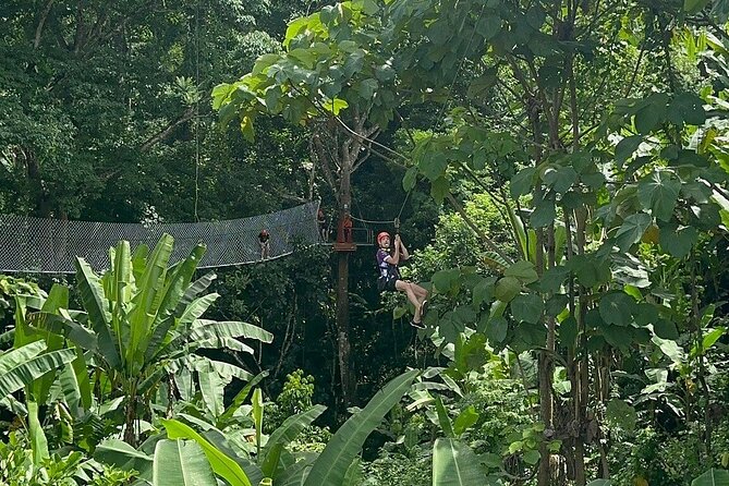 7 Hour Sticky Waterfall and Zipline Adventure - Sticky Waterfall (Bua Thong Falls): climbing the water instead of just watching it
