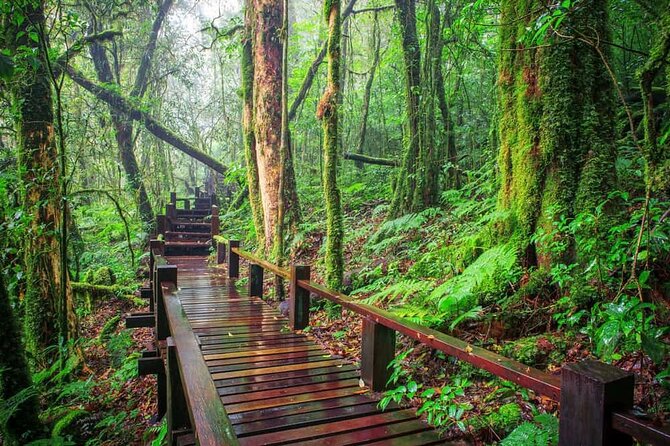 A Day Trip to Doi Inthanon Escape to Nature - Why Doi Inthanon Works So Well as a Chiang Mai Day Trip