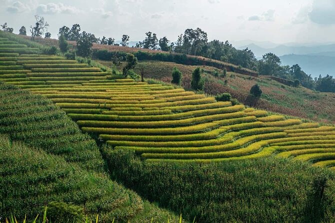 A Day Trip to Doi Inthanon Escape to Nature - Ang Ka Luang Cloud Forest and the Highest Spot Feeling