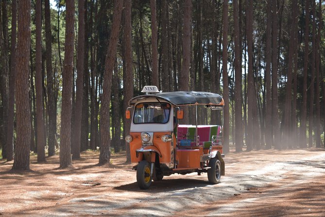 A stunning 11 Day Tuk Tuk Adventure in Northern Thailand - with driver - Days 8 to 10: Lod Cave to Pai, plus the infinity pool payoff