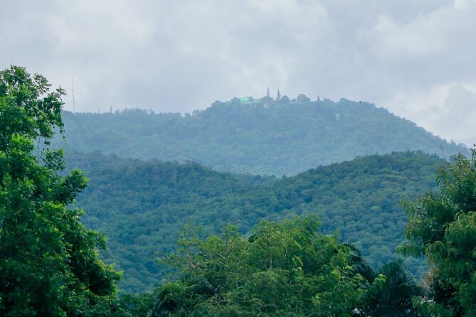 Aroidee’s Farm-Fresh Thai Cooking Experience - For families, couples, and solo travelers: who this fits best