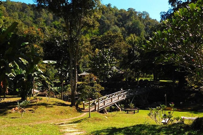 Authentic Mae Kham Pong Village Cultural Experience - Meals, Snacks, and What That Means for Your Budget