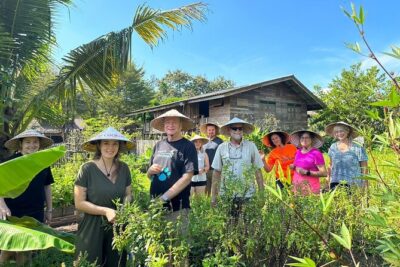 Authentic Thai Cooking Class and Farm Visit in Chiang Mai - Organic farm visit: see herbs where they grow