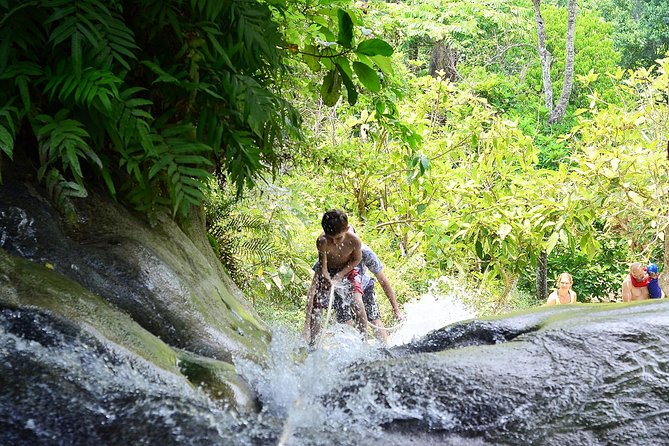 Best of Chiangmai day trip Temples and Sticky waterfall - A Tight 6-Hour Itinerary That Actually Fits Chiang Mai