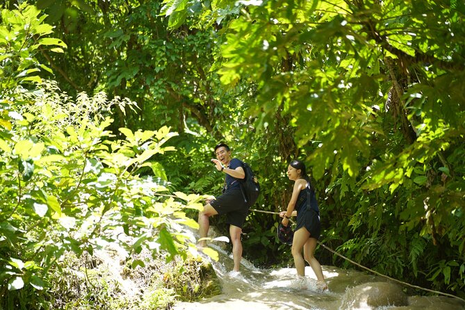 Bua Tong Waterfall Adventure& Huge Cave included Thai Buffet Tour - Why the guide makes the difference (especially on the sticky parts)