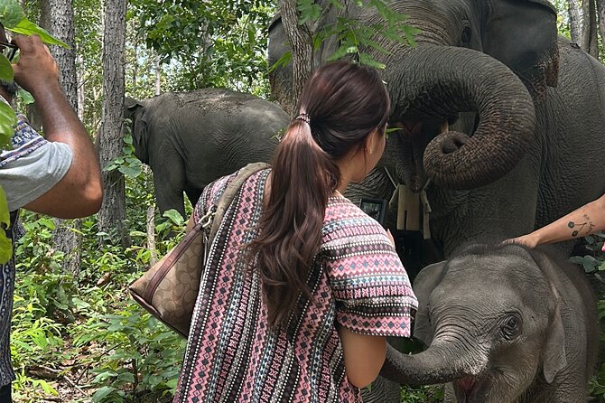 Chiang Mai 1 Day: Elephant Sanctuary, Waterfall & Bamboo Rafting - Who This Tour Fits Best (and Who Might Skip It)