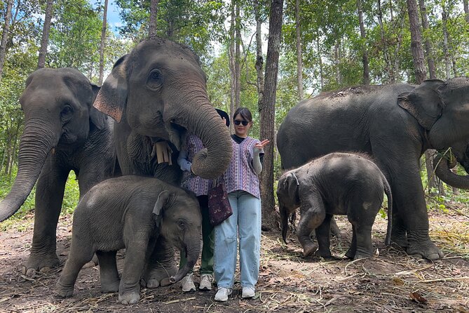 Chiang Mai 1 Day: Elephant Sanctuary, Waterfall & Bamboo Rafting - Weather, Comfort, and Small Practical Tips