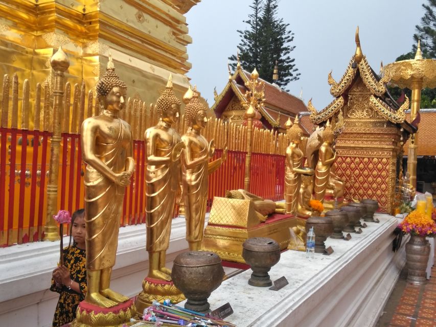 Chiang Mai: 7-Hour Doi Suthep National Park Summit Hiking - Doi Pui and the Hmong village visit: respectful, local, and close to the land