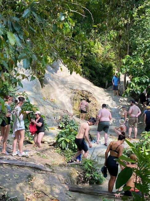 Chiang Mai: Afternoon Bua Tong Sticky Waterfall by Red Taxi - Quick hits before you go