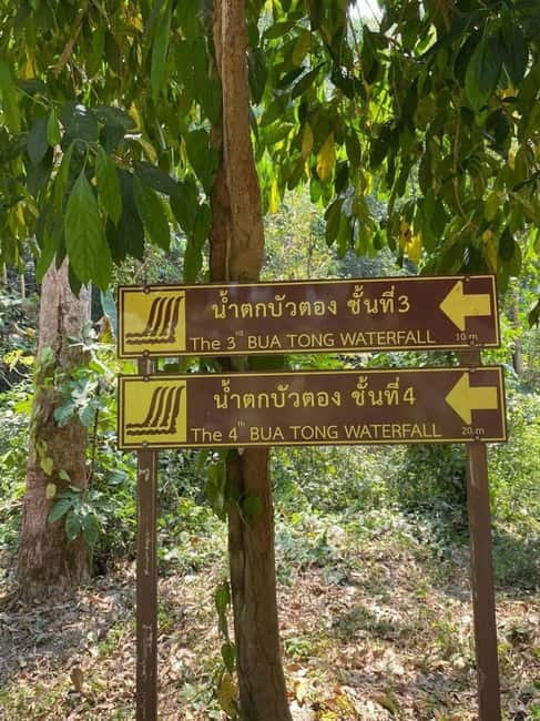 Chiang Mai: Afternoon Bua Tong Sticky Waterfall by Red Taxi - Why this waterfall feels peaceful instead of chaotic