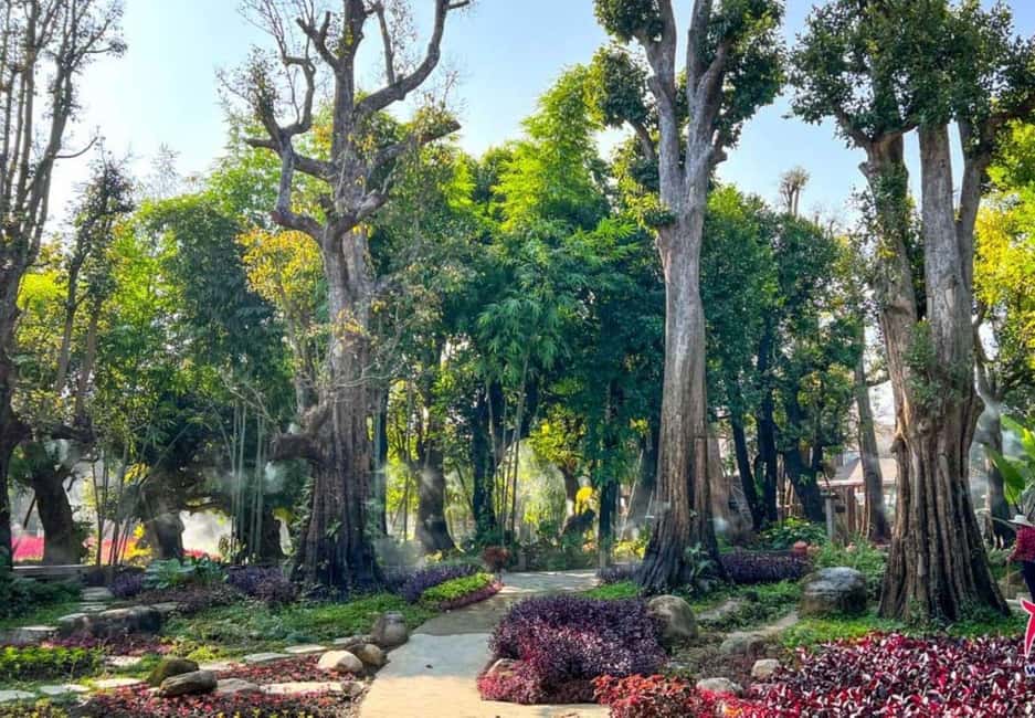Chiang Mai: Angel Waterfall & Sticky Waterfall & Wat Ban Den - Bua Thong Sticky Waterfalls: the grippy-rock climb