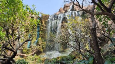Chiang Mai: Angel Waterfall & Sticky Waterfall & Wat Ban Den - Wat Ban Den: a large Buddhist complex for quiet looking