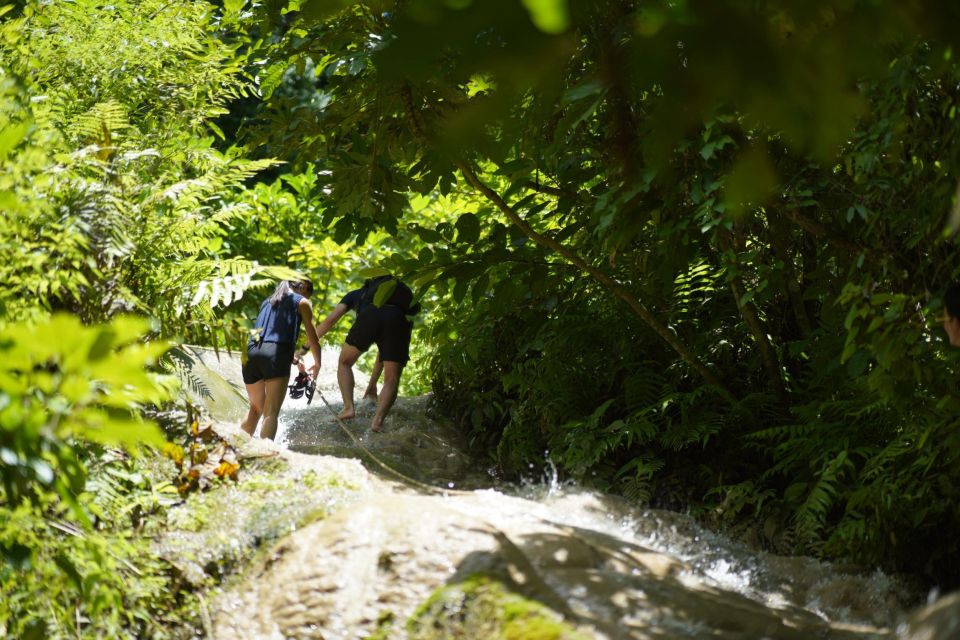 Chiang Mai: Bua Thong Sticky Waterfall & Huge Cave & Buffet - Fitness reality check: who this is perfect for (and who should be cautious)