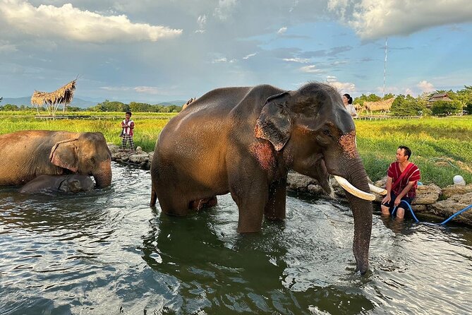 Chiang Mai Chapulin Elephant Care and Sticky Waterfall - Adding Bua Tong Waterfalls: Sticky Waterfall as the Adventure Upgrade