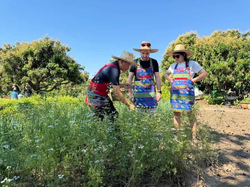 Chiang Mai : Cook in Farm, Market tour & Go by a Local Train - Hands-On Thai Cooking: Build, Cook, Taste (Then Repeat in Your Head)