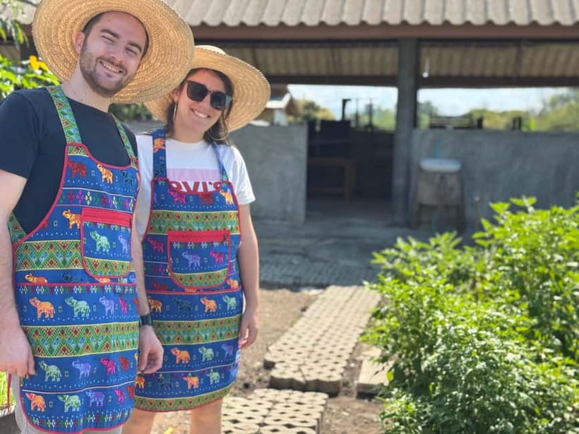 Chiang Mai : Cook in Farm, Market tour & Go by a Local Train - Price and Logistics: Does $57 Feel Like Value?