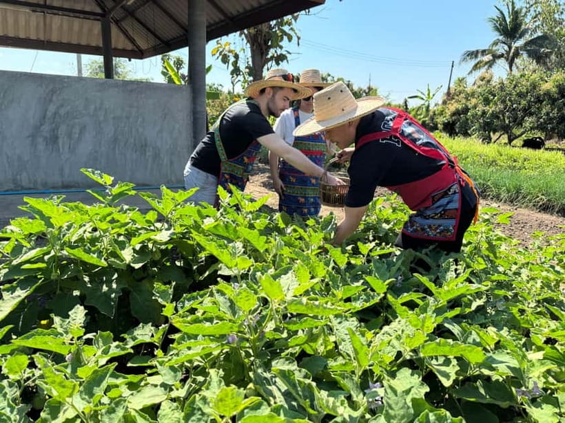 Chiang Mai : Cook in Farm, Market tour & Go by a Local Train - FAQ