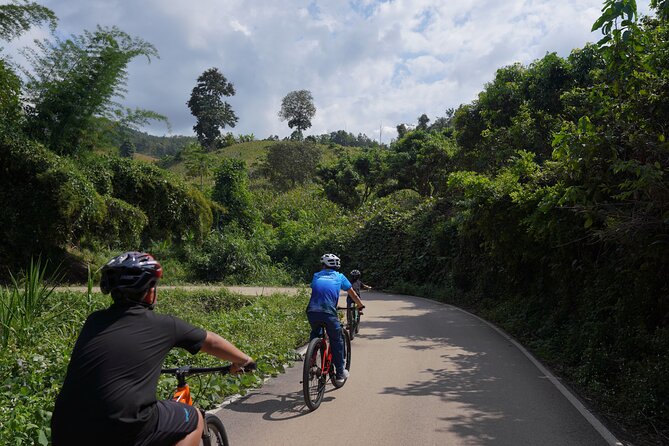 Chiang Mai: Cycling Nam Phare Countrysides, Breezy-Relax & Lunch - Key highlights worth planning around