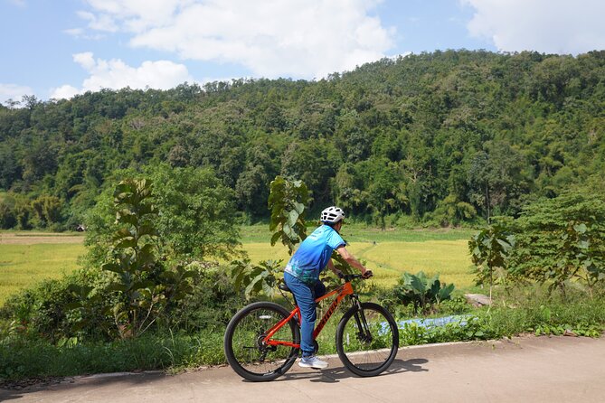 Chiang Mai: Cycling Nam Phare Countrysides, Breezy-Relax & Lunch - Rest, Thai lunch by the river, and why that break matters
