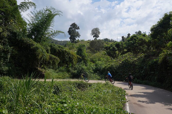Chiang Mai: Cycling Nam Phare Countrysides, Breezy-Relax & Lunch - Bamboo rafting on the Mae Wang River: the calm counterweight to biking