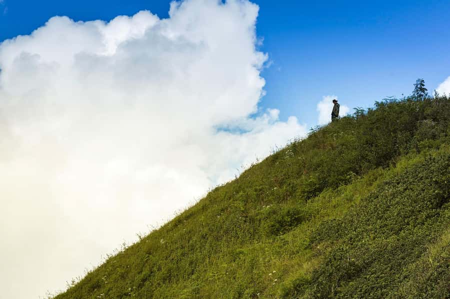Chiang Mai: Doi Inthanon National Park, Waterfall & Lunch - Small-group pickup, guided pacing, and why the tour feels smoother
