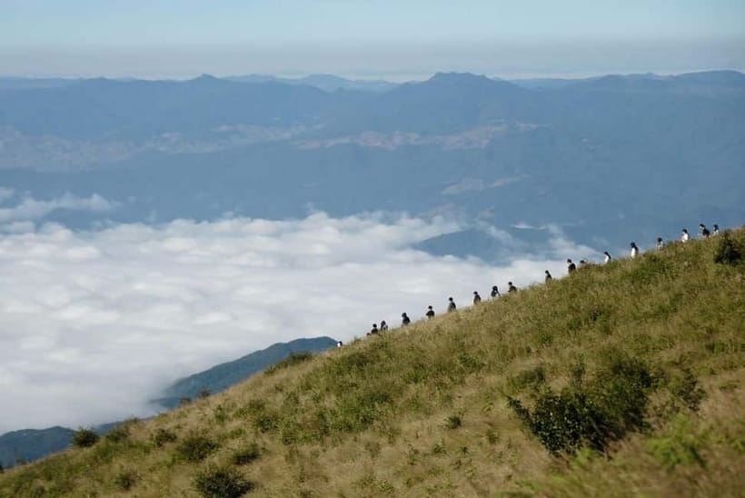 Chiang Mai: Doi Inthanon Park and Kew Mae Pan 2-Hour Hike - What You’re Really Booking in 11 Hours