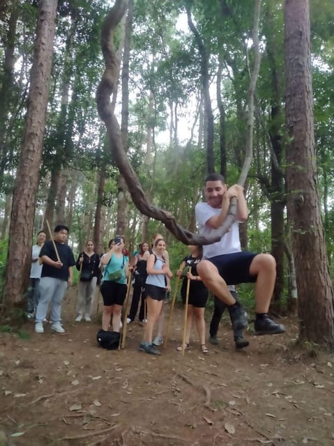 Chiang Mai: Doi Inthanon Park and Pha Dok Siew Hike Day Trip - Pha Dok Siew Nature Trail: your two-hour forest highlight