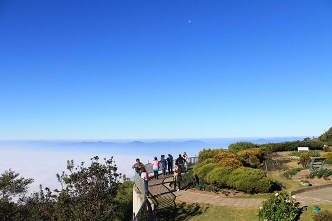 CHIANG MAI: Doi Inthanon-Trekking Keiw Mae Pan-Waterfall-Lunch - Guides, Communication, and How to Get Answers Fast