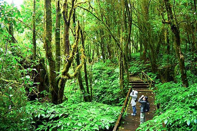 CHIANG MAI: Doi Inthanon-Trekking Keiw Mae Pan-Waterfall-Lunch - Price and Value: What $43.12 Buys (and What It Doesn’t)