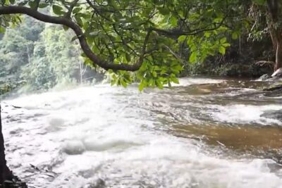 CHIANG MAI: Doi Inthanon-Trekking Pha Dok Seaw-Waterfall-Lunch - Doi Inthanon: highest point energy, Twin Pagodas, and hill-tribe visits