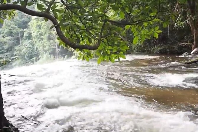 CHIANG MAI: Doi Inthanon-Trekking Pha Dok Seaw-Waterfall-Lunch - Doi Inthanon: highest point energy, Twin Pagodas, and hill-tribe visits