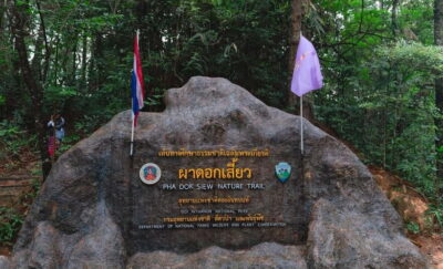 Chiang Mai: Doi Inthanon Trip with Pha Dok Siew Guided Trek - Pagodas at the King and Queen: beautiful views with real dress rules
