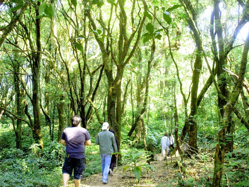 Chiang Mai: Doi Inthanon, Waterfalls, & Tribal Villages Tour - Waterfalls at Doi Inthanon: Wachirathan or Sirithan in real life