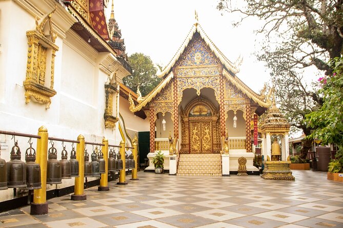 Chiang Mai - Doi Suthep Temple & Wat Pha Lat Hike - Sunrise vs Afternoon Timing: Why the Order Changes the Hike