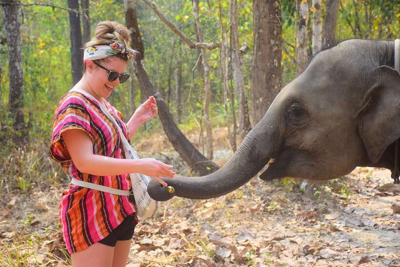 Chiang Mai: Elephant Feeding Experience - The Part I Like Most: Making Elephant Food With Your Guide