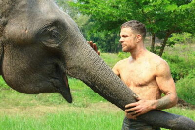 Chiang Mai: Elephant Feeding Experience - Check In at the Park and Get Ready to Feed