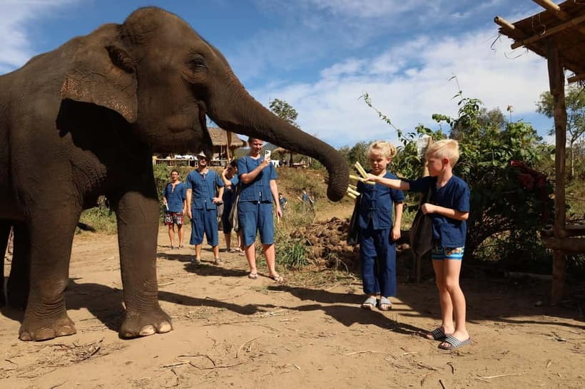 Chiang Mai: Elephant Sanctuary Bamboo Raft & Padthai Cooking - Key highlights worth clocking