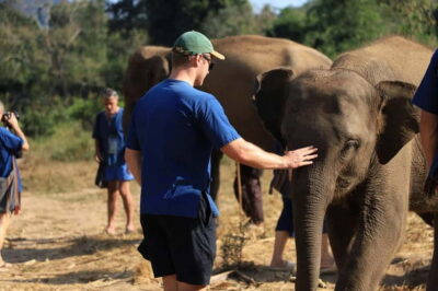 Chiang Mai: Elephant Sanctuary Bamboo Raft & Padthai Cooking - Entering the sanctuary: walk, feed, and watch real elephant behavior