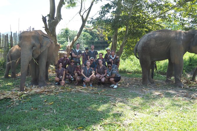 Chiang Mai Elephant Sanctuary Small Group Ethical Tour - Learning Elephant Behavior With a Real English-Speaking Guide