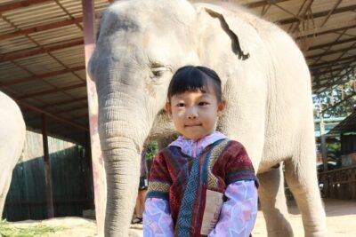 Chiang Mai Elephant Sanctuary Small Group Ethical Tour - Mae Taeng and the Rainforest Views at Elephant Jungle Sanctuary