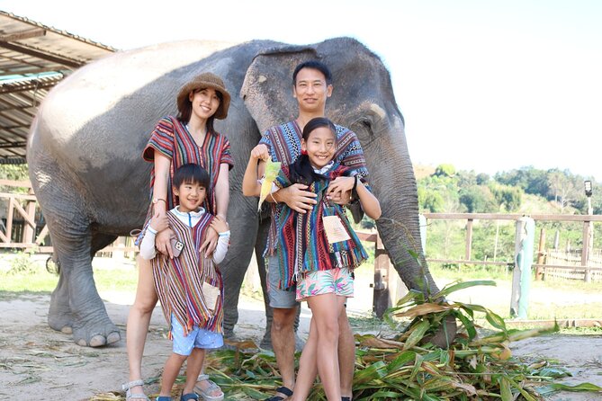 Chiang Mai Elephant Sanctuary Small Group Ethical Tour - What’s Included: Meals, Water, and Sanctuary Comfort Items